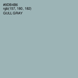 #9DB4B6 - Gull Gray Color Image